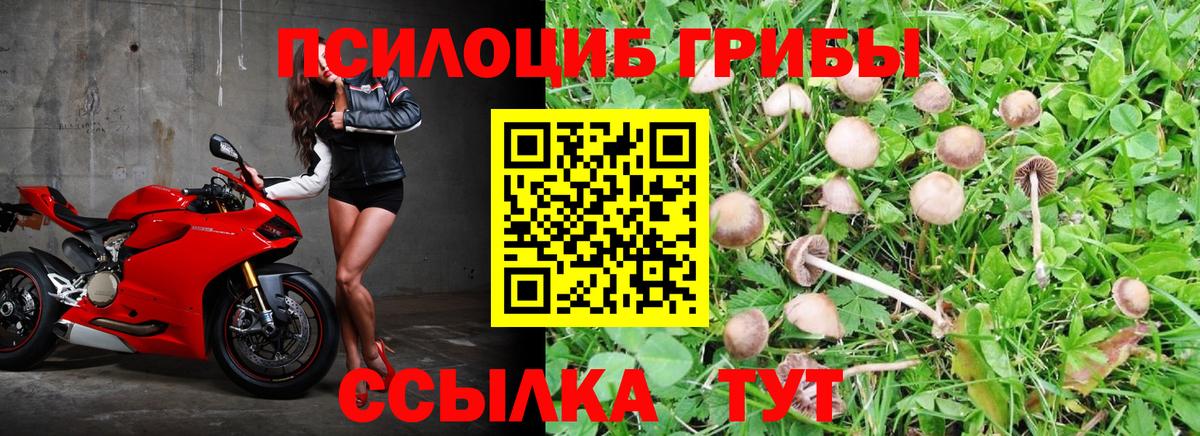 Минеральные Воды  Псилоцибиновые грибы мухоморы  Вход с VPN  Псилоцибиновые грибы GOLDEN TEACHER 